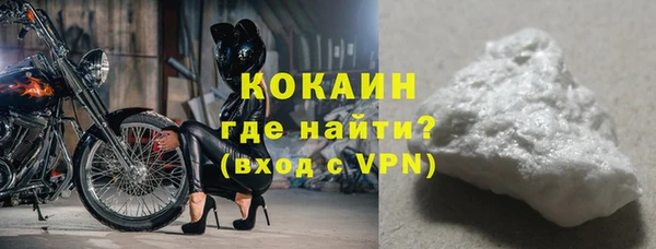 хмурый Пересвет