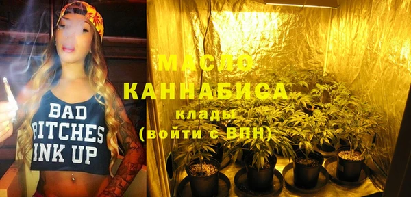 хмурый Пересвет