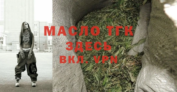 хмурый Пересвет