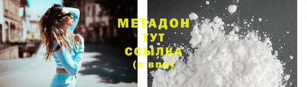 хмурый Пересвет