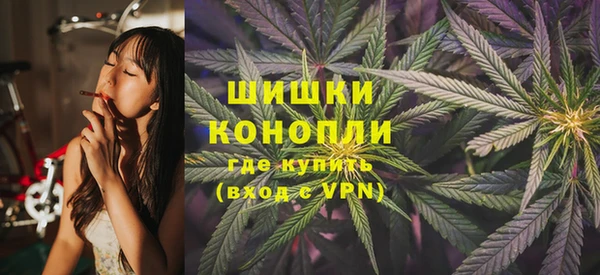 хмурый Пересвет