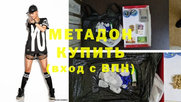 хмурый Пересвет