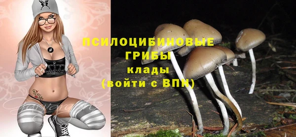 хмурый Пересвет