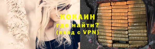 хмурый Пересвет