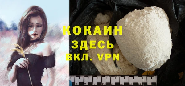 хмурый Пересвет