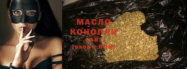 хмурый Пересвет