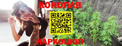 крисы Гусиноозёрск