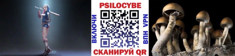 Псилоцибиновые грибы прущие грибы  мега сайт  Красноармейск  что такое наркотик 
