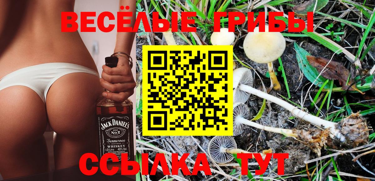Красноармейск  Галлюциногенные грибы Magic Shrooms  Вход с VPN 