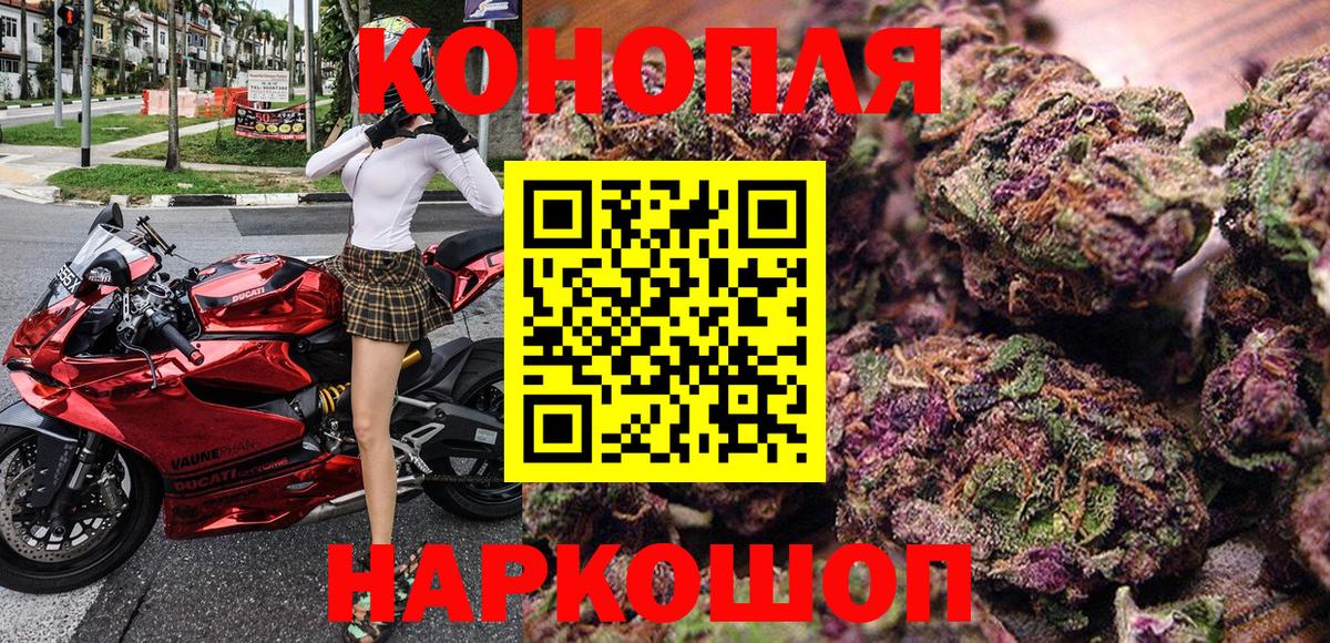 Конопля гибрид Красноармейск